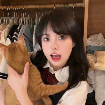 八角笼封面